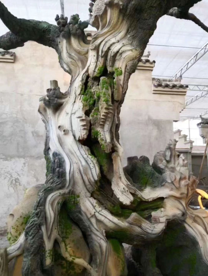 丝瓜视频在线免费观看树安装