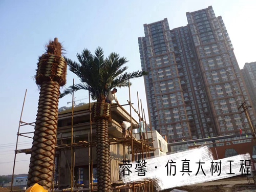 丝瓜视频在线免费观看大树